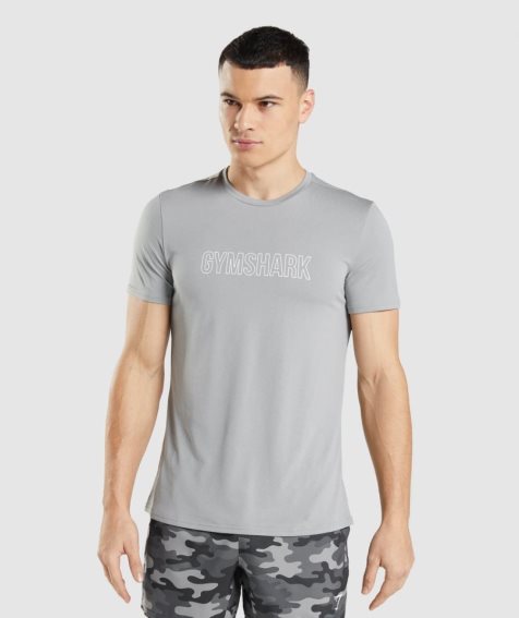 Koszulki Gymshark Arrival Grafiką Męskie Głęboka Szare | PL 914WZD